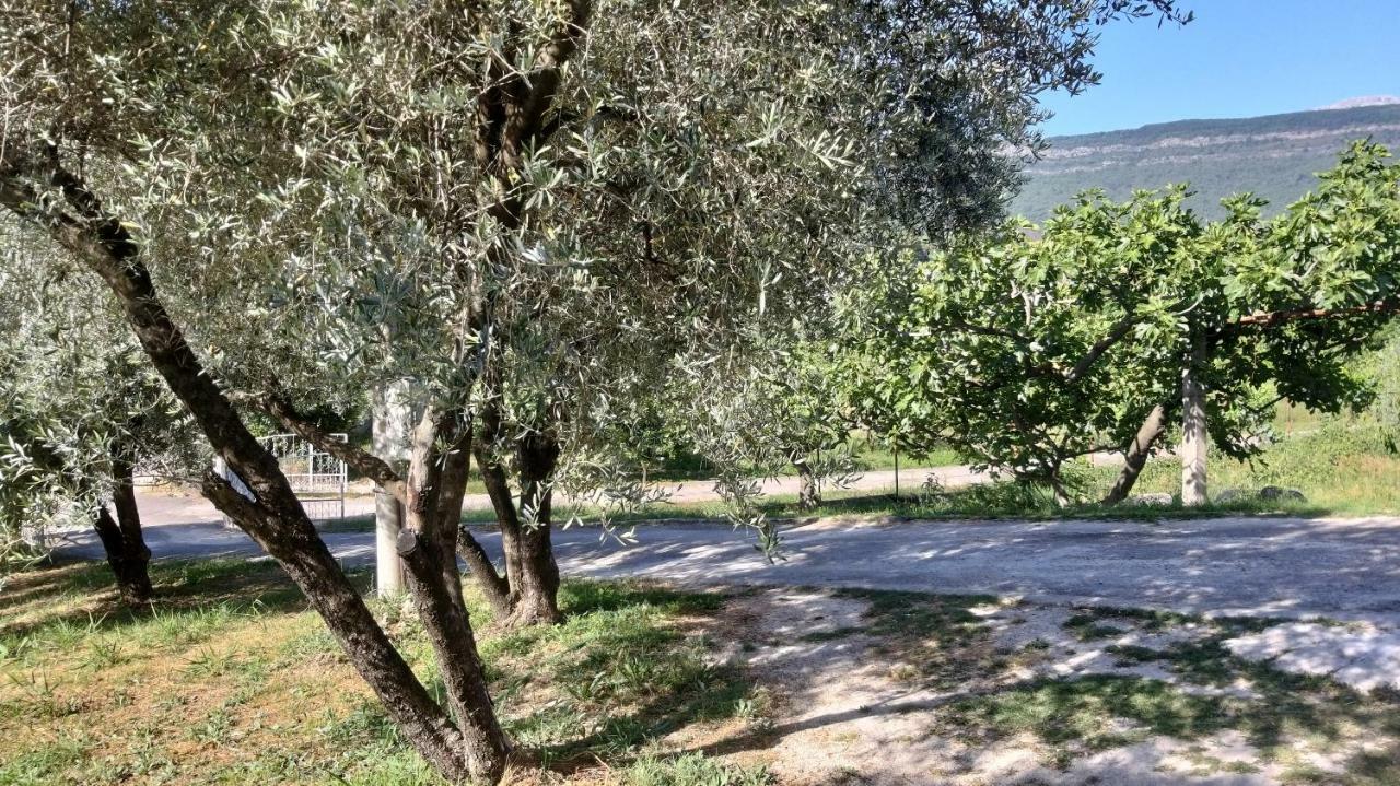 דירות Petivat Gardens מראה חיצוני תמונה